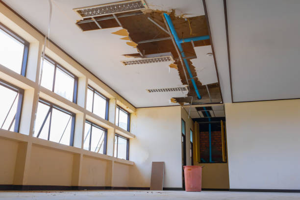 Reliable Evergreen, MT Water damage restoration Solutions
