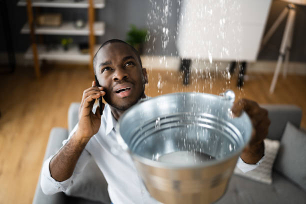 Best Emergency water damage restoration  in Evergreen, MT