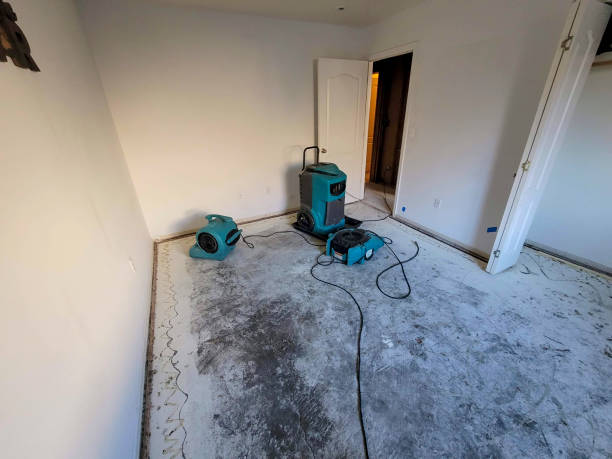 Best Sewage cleanup and water damage restoration  in Evergreen, MT