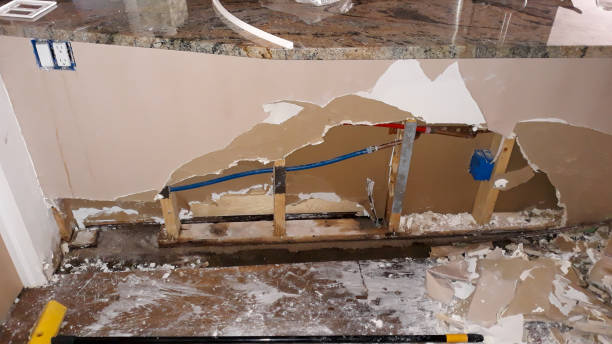 Best Water damage cleanup near me  in Evergreen, MT