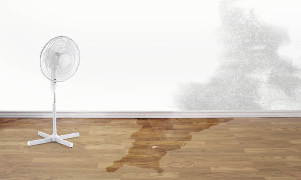 Best Water damage restoration near me  in Evergreen, MT