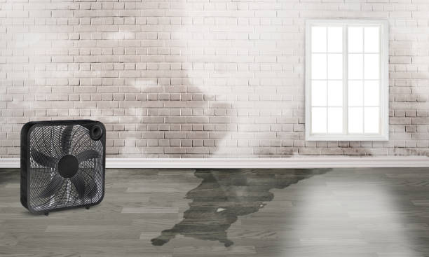 Best Water damage restoration insurance claims  in Evergreen, MT