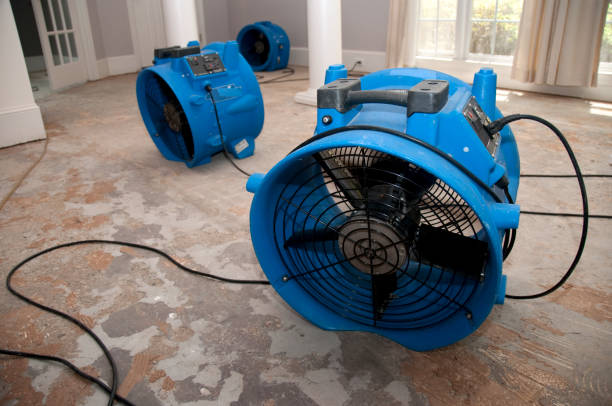 Best Flooded house restoration  in Evergreen, MT