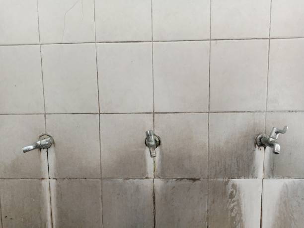 Best Water damage restoration mold remediation  in Evergreen, MT