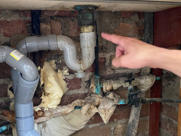 Best Professional water damage repair  in Evergreen, MT