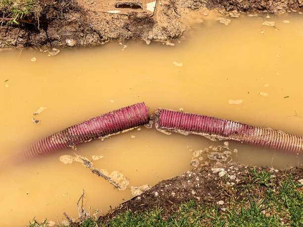 Carpet water damage restoration in Evergreen, MT