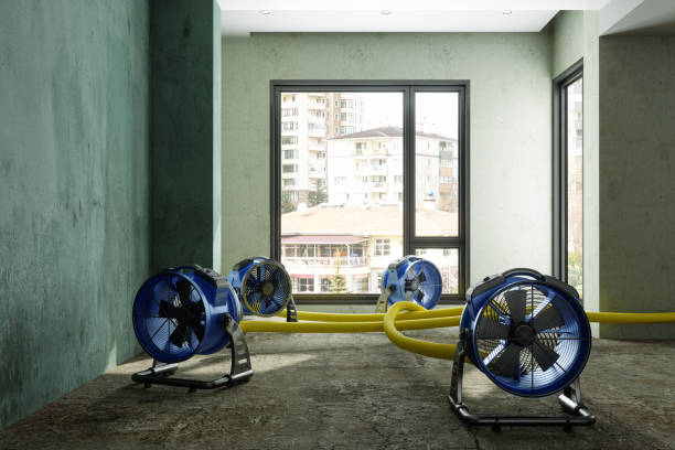 Best Local water damage restoration  in Evergreen, MT