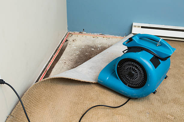 Water damage restoration process in Evergreen, MT